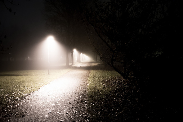霧が街路灯 - 写真・画像