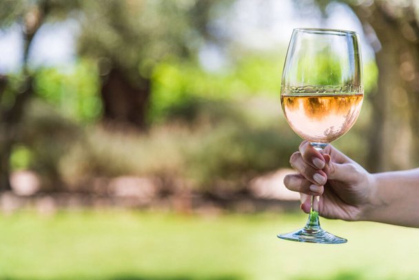Молодая женщина держит стакан розового вина на фоне виноградника
. - Фото, изображение