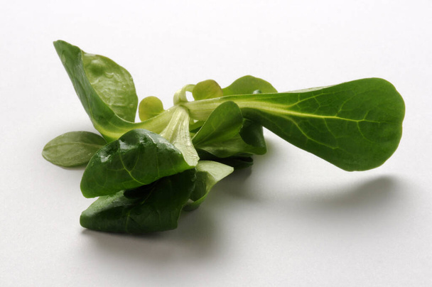Свіжий кукурудзяний салат на білому тлі
 - Фото, зображення