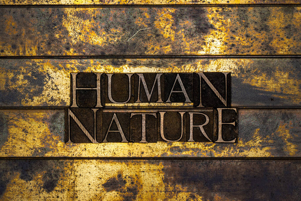Photo of real authentic typeset letters forming Human Nature text on vintage textured silver grunge copper and gold background - Photo, Image
