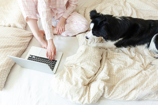自宅のモバイルオフィス。パジャマの若い女性は、自宅のノートパソコンのコンピュータで動作するペットの犬とベッドに座っています。屋内で勉強するライフスタイルの女の子。フリーランスのビジネス隔離コンセプト - 写真・画像