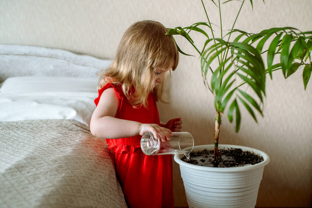 Cute red-haired baby girl in the bedroom watering a house plant in a bed near the bed. exotic plant care, home gardening. - Фото, изображение