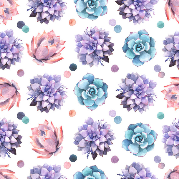 Seamless background with succulents, in watercolor style. White background - Fotoğraf, Görsel