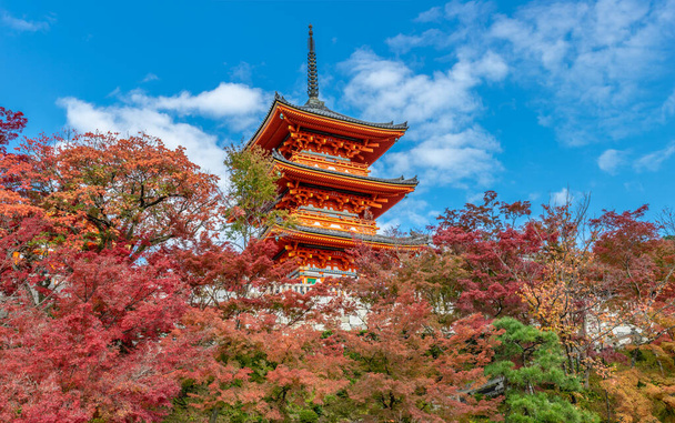 Toji Five story pagoda surounded by autumn colors. Kyoto, Japan - Photo, Image