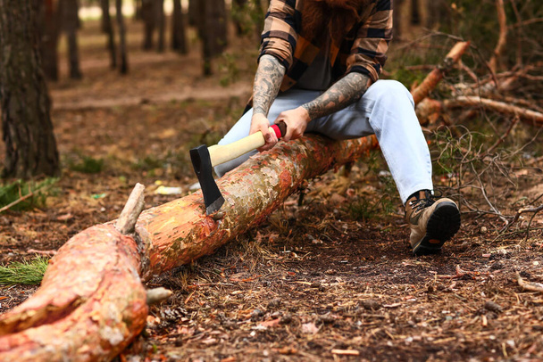 Красивий лісоруб, що вирубує дерева в лісі
 - Фото, зображення