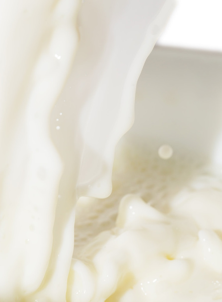 Background of milk - Фото, изображение