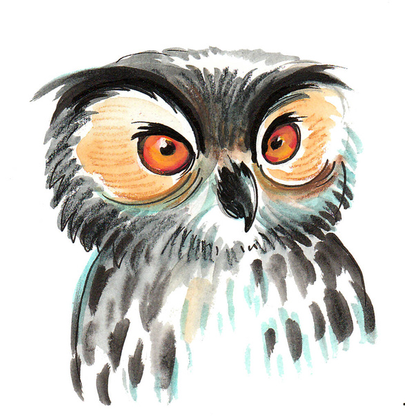 Owl bird head. Ink and watercolor sketch - Foto, Imagen