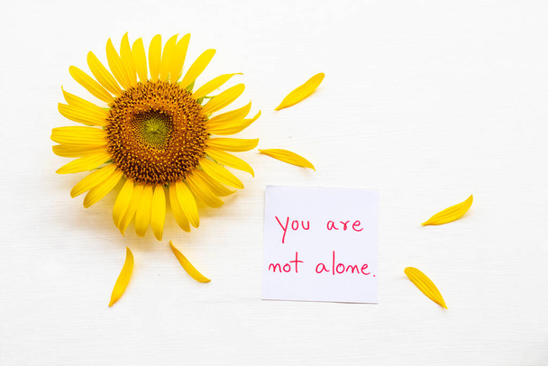 you are not alone message card handwriting with yellow flower sunflower arrangement flat lay postcard style on background white - Φωτογραφία, εικόνα