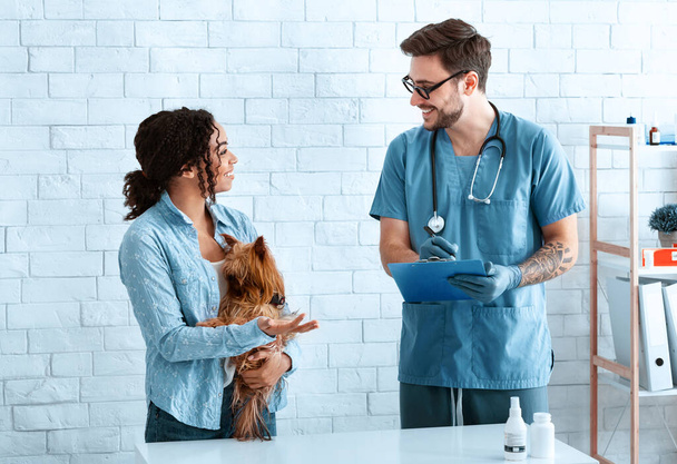 Veterinarian and pet owner with Yorkshire terrier at medical office - Photo, Image