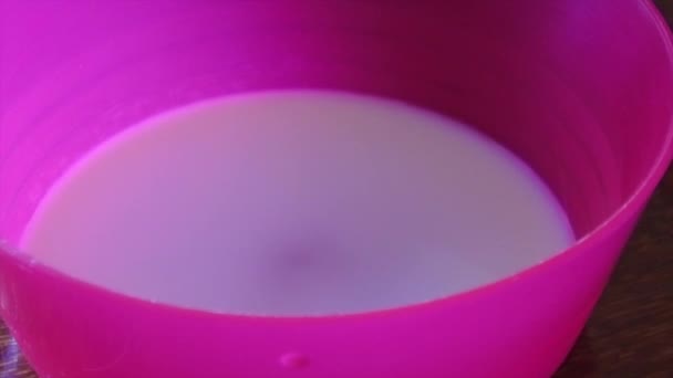 Cat drinking fresh milk from a pink bowl. - Кадри, відео