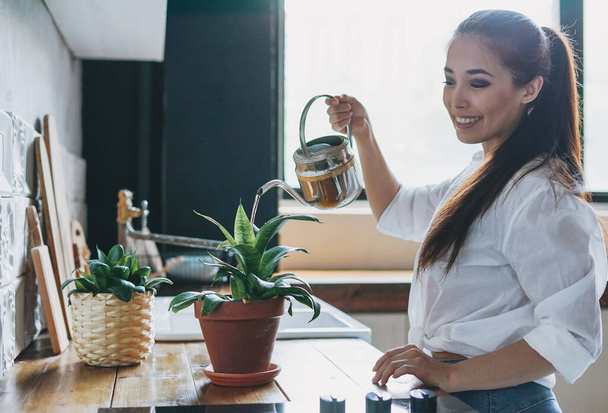 Jeune femme asiatique souriante en vêtements décontractés arrosage plante d'intérieur dans la cuisine
 - Photo, image
