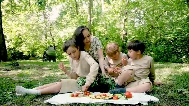 Mom and three sons at the weekend on a picnic in the park. - Video, Çekim