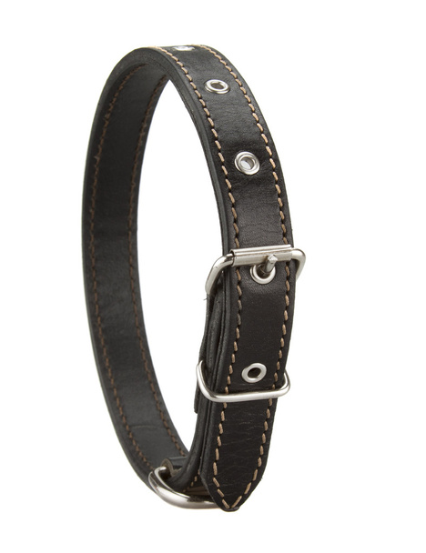 black leather dog collar - Photo, Image