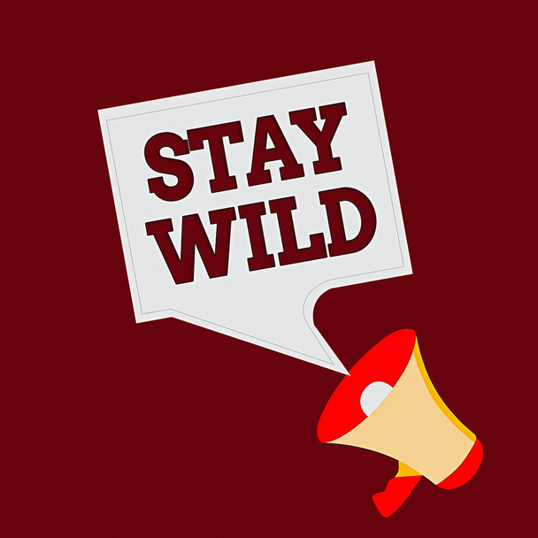 Conceptual hand writing showing Stay Wild. Business photo text end up being extremely energetic throughout the entire day Megaphone and Blank Square Speech Bubble Public Announcement. - Photo, Image