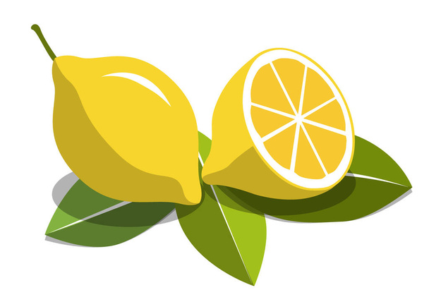 sárga citrom lapos gyümölcs fehér alapon - Vektor, kép