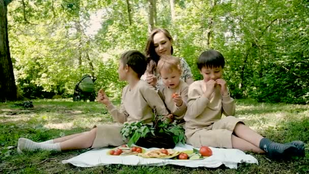 Mom and three sons at the weekend on a picnic in the park. - Filmati, video