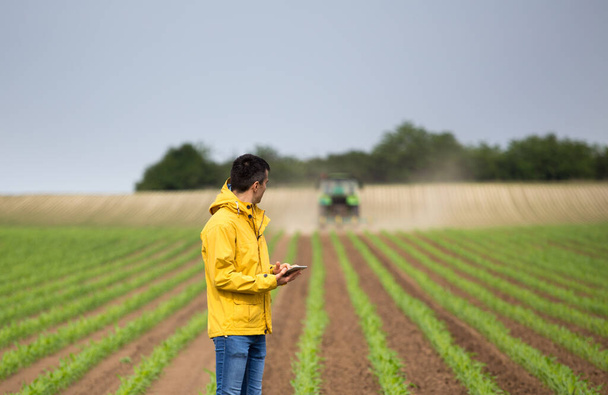 Bonito agricultor com tablet em pé no campo de milho na frente do trator na primavera
 - Foto, Imagem