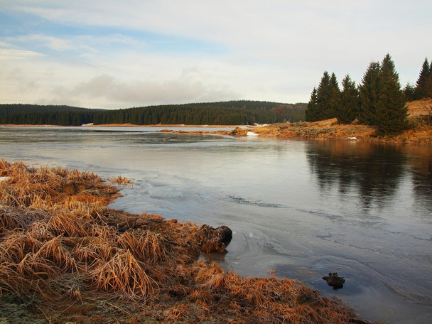 Vista de inverno sobre lago com gelo azul fino para margem oposta. Seque talos velhos de grama e juncos no banco, azul escuro e verde agulhas árvore, folhas nuas árvore
. - Foto, Imagem