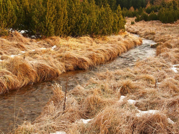 Ruisseau de montagne au début de l'hiver, vieille herbe sèche orange sur les deux rives, glace sur les rochers et pierre dans l'eau
. - Photo, image