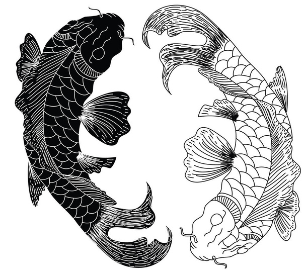 Hand drawn Koi carp on white background for auspiciousness of Chinese new year.Gold fish for festival on backdrops.Beautiful line art of koi fish. - Vektör, Görsel
