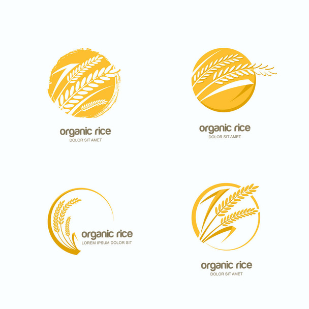 Ensemble de logo vectoriel, d'étiquette ou d'emblème de cercle d'emballage avec riz jaune, blé, grains de seigle. Modèle de conception dessiné à la main pour l'agriculture asiatique, produits céréaliers biologiques, pain et boulangerie
. - Vecteur, image