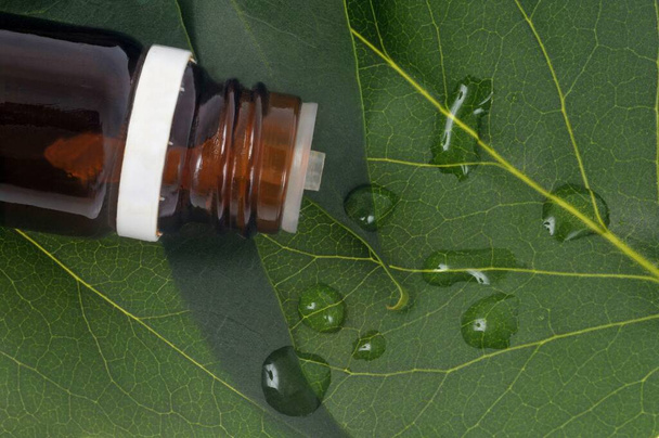 Bottle of essential oil spilled on a leaf - Photo, Image