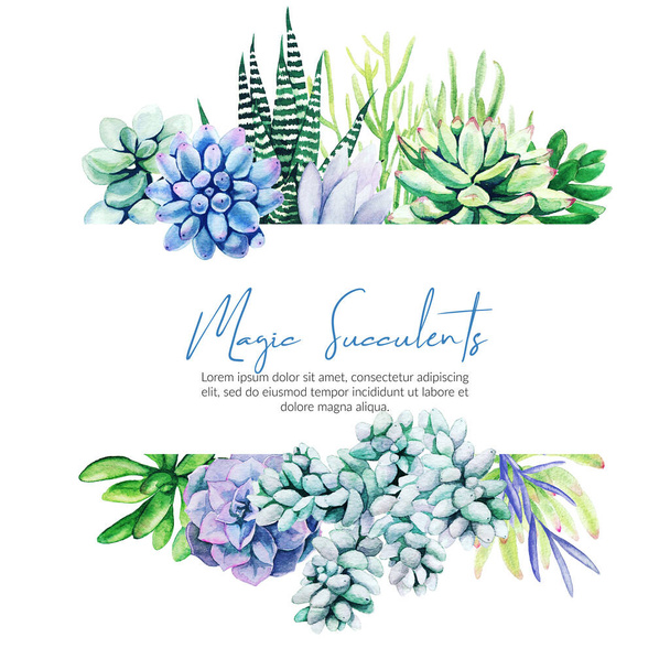 Horizontal banner with watercolor cactus and succulent plants - Zdjęcie, obraz