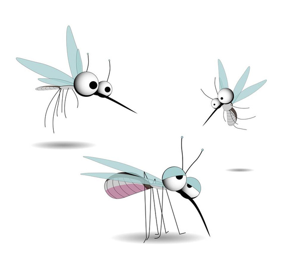 Moskitos sind gefährlich. Insektenparasiten. Vektor-Illustration isoliert auf weißem Hintergrund. Sommerzeit. - Vektor, Bild
