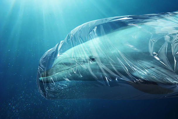 Delfín atrapado en una bolsa de plástico. Concepto de contaminación en los océanos
. - Foto, Imagen