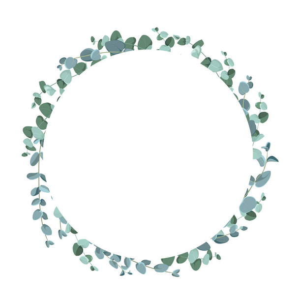 Eucalyptus tropical plant in form of circle - Vetor, Imagem