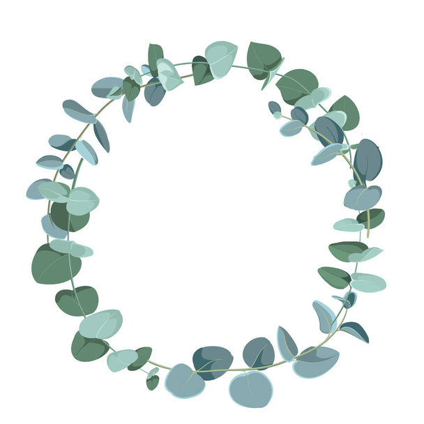 Eucalyptus tropical plant in form of circle on white background. Flat tropic border. - Vector, Image