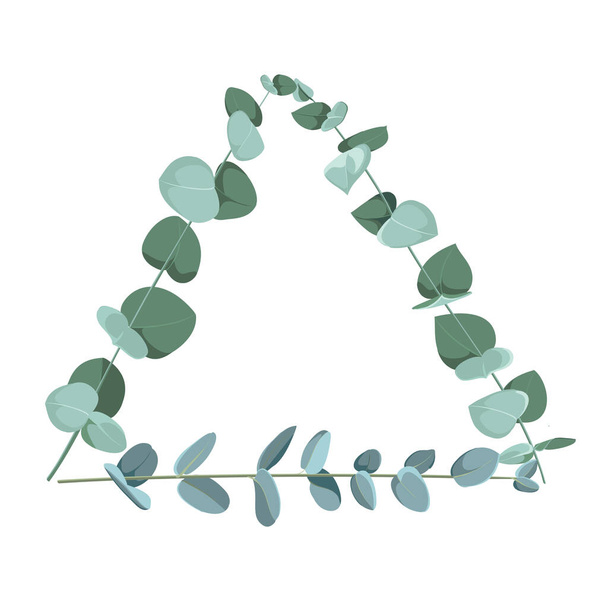 Eukalyptus tropische Pflanze in Form eines Dreiecks auf weißem Hintergrund. Flache tropische Grenze. - Vektor, Bild