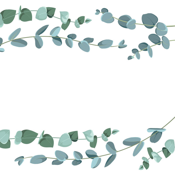 Eucalyptus border pattern on white background. Flat tropic border. - Vector, Image