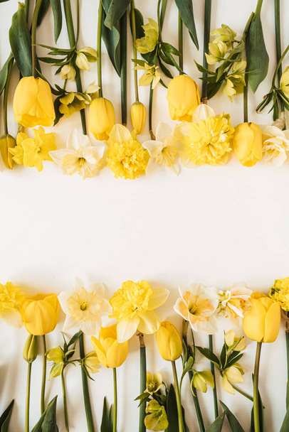 Frame with blank copy space made of yellow narcissus and tulip flowers on white background. Flat lay, top view floral festive holiday concept - Photo, Image