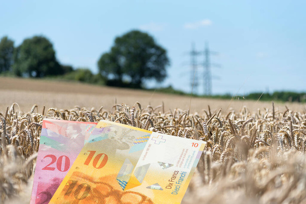 Ελβετικά φράγκα και γεωργία στην Ελβετία - Φωτογραφία, εικόνα