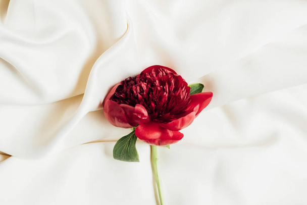 top view of red peony on white cloth - Фото, зображення