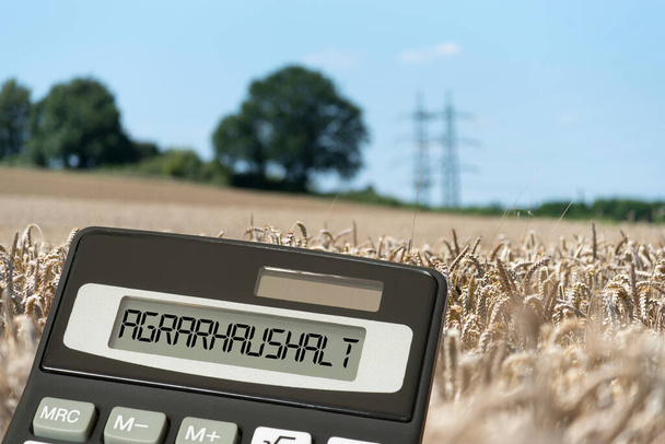 Arable field, calculator and agricultural budget - Photo, Image