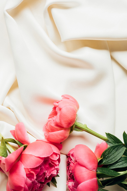 вид на розовые красивые пионы на белой ткани
 - Фото, изображение