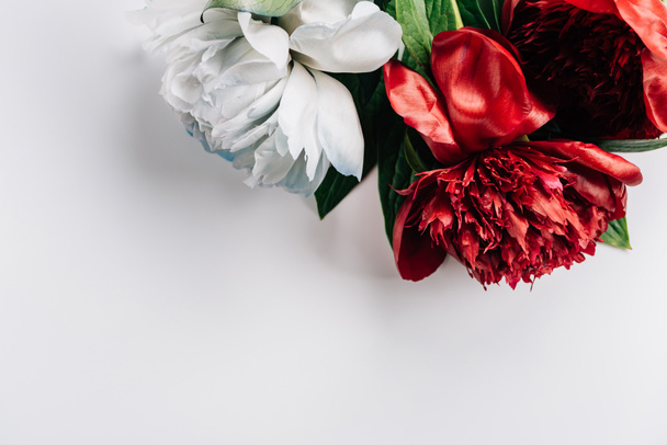 top view of red and white peonies with green leaves on white background - Foto, afbeelding