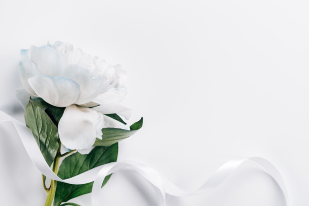 top view of blue and white peonies with ribbon on white background - Foto, imagen