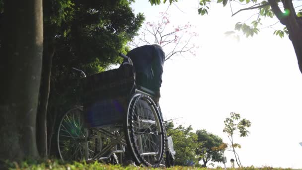 aziatische oude man opstaan uit rolstoel stretching armen buiten in park - Video