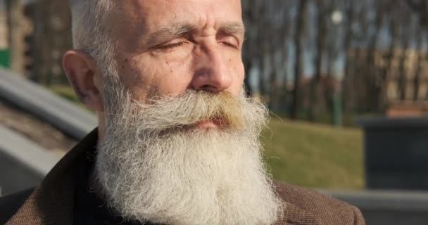 Uomo anziano in attesa di qualcuno al parco
 - Filmati, video