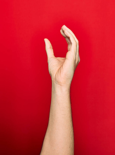 Piękna ręka mężczyzny pokazując palce podniesione robi gest złapać na odizolowanym czerwonym tle - Zdjęcie, obraz
