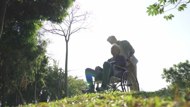 アジア系の大人の息子と車椅子に縛られたお父さんが屋外でおしゃべり  - 映像、動画