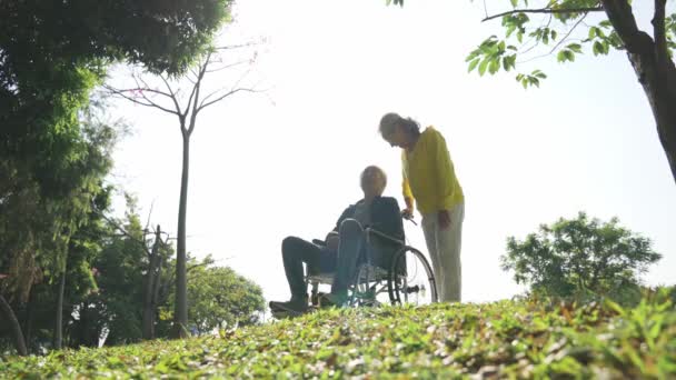 aziatische senior paar vrouw en rolstoel gebonden man praten ontspannen buiten in park - Video