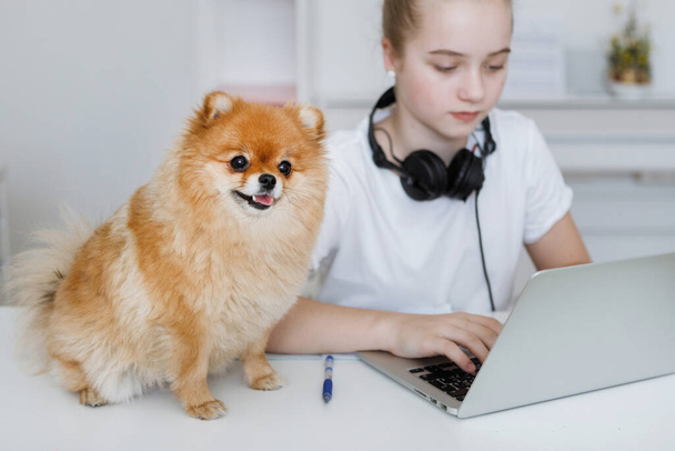 ヘッドフォンを持つ10代の女の子とノートパソコンで作業している犬。家庭教育。隔離コロナウイルスだ。選択的フォーカス。ぼかしの背景. - 写真・画像