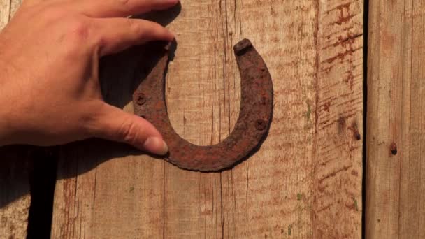 Rusty horseshoe nailed to the boards. Male hand straightens a horseshoe. Different nations have a horseshoe as a symbol of good luck. - Footage, Video