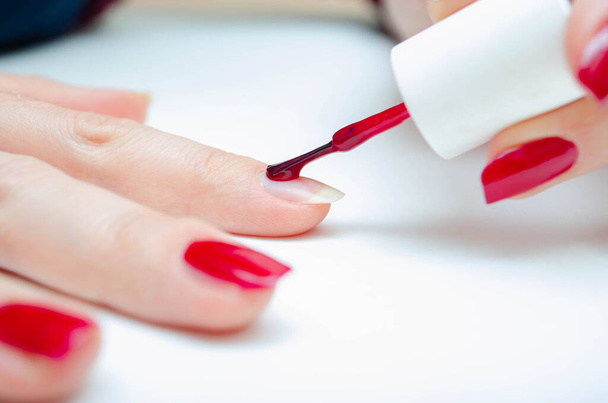 Manicure at home. DIY manicure. The girl paints herself nails in red, burgundy. Glossy nail polish. Macro in macro. Brush is applying varnish on the nail in a strong large zoom on a white background - Photo, image