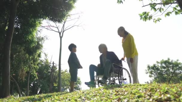 Asyalı büyükanne, büyükbaba ve torun parkta sohbet ederek eğleniyorlar. - Video, Çekim