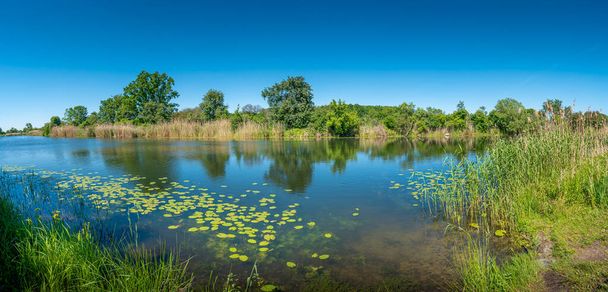 Güneşli bir günde, Elbe nehrinin kıyısındaki bir gölün panoramik manzarası ve mavi gökyüzü, Magdeburg, Almanya, yaz mevsimi - Fotoğraf, Görsel
